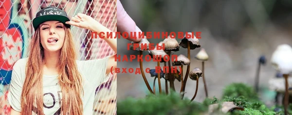 таблы Алзамай