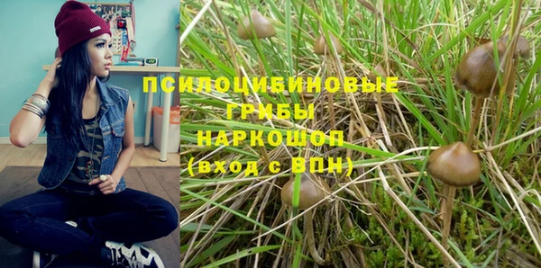 герыч Алексин